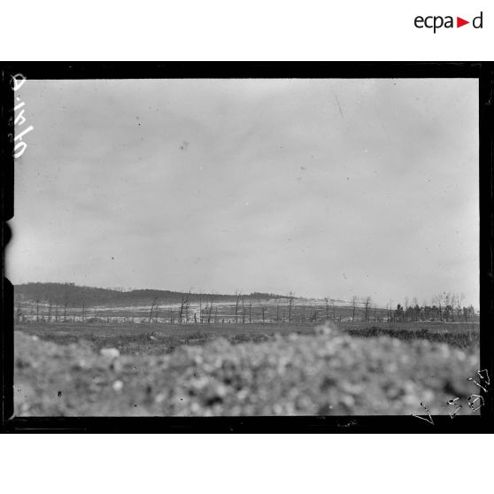 [Loivre. Marne. Vue vers le fort de Brimont.]