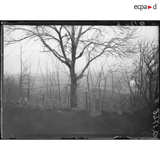 [Paysage à Covolo, en Vénétie.]