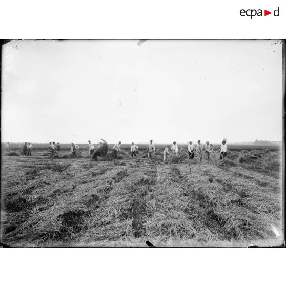 Treuilleau, Indre. [légende d'origine]