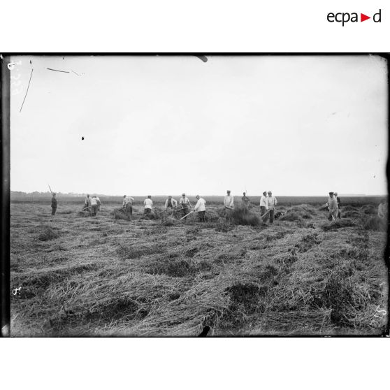 Treuilleau, Indre. [légende d'origine]