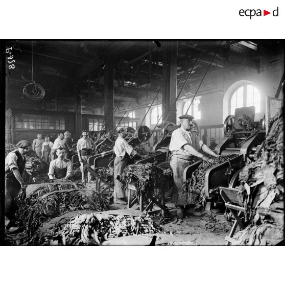 Châteauroux (Indre). Manufacture de tabac pour la troupe. Le hâchage du tabac. [légende d'origine]