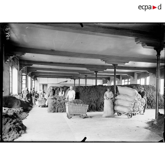 Châteauroux. Manufacture des tabacs. Masses de tabac, après la torréfaction. [légende d'origine]