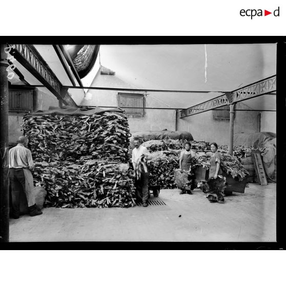 Grenoble. Fabrique des gants Perrin-Frères. La mégisserie. Les peaux de chevreau. [légende d'origine]
