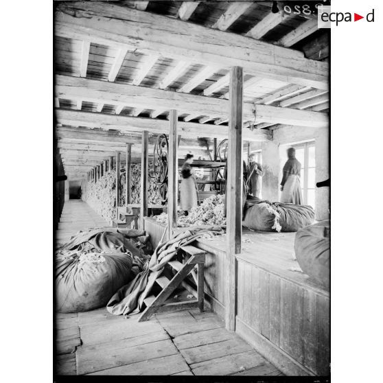 Mazamet. Tarn. Délainage Jules Cornioues. Les réserves de la laine. [légende d'origine]