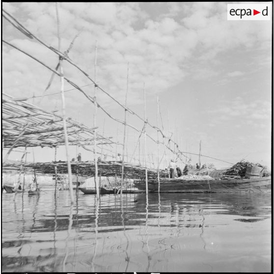 Kompong Luong des Lacs : perches servant à étendre les filets des pêcheurs. [description provisoire]
