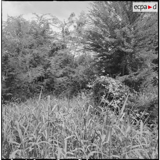 1 à 7 Quelques étapes de construction du poste. [description provisoire]