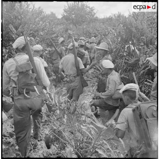 Le commando franco-vietnamien en marche dans les palétuviers.
