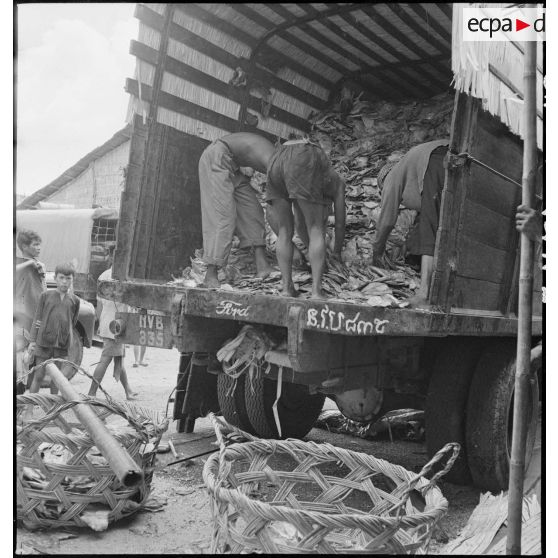 1 à 6 Le transport du poisson : des lieux de pêche à la coopérative. [description provisoire]