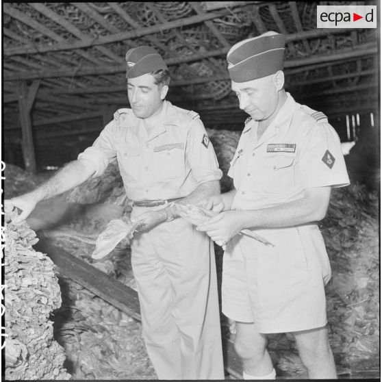 18 à 19 Visite de la commission formée par les capitaines Gayerie et Christophe en vue de l'acceptation d'un marché. [description provisoire]