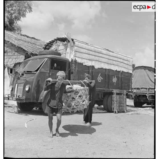 Un panier de poissons destiné à l'armée française est transporté vers le séchoir. [description provisoire]
