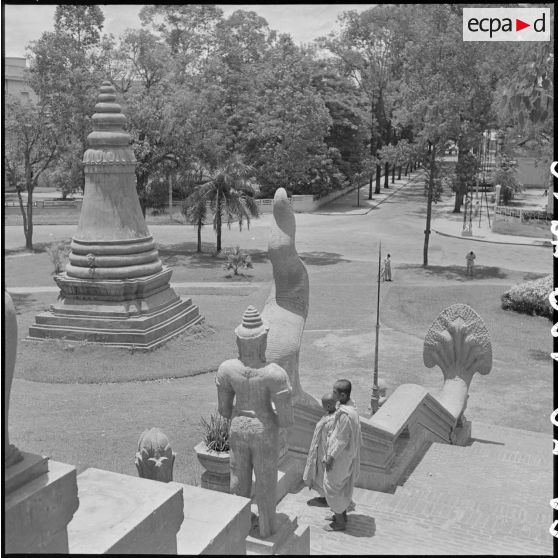 Bonzillons dans l'escalier du Wat Phnom, à Phnom Penh. [description provisoire]