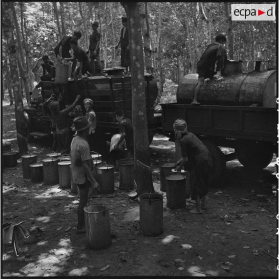 Le camion de collecte du latex sur le champ de saignée, dans la région de Kompong Cham. [description provisoire]