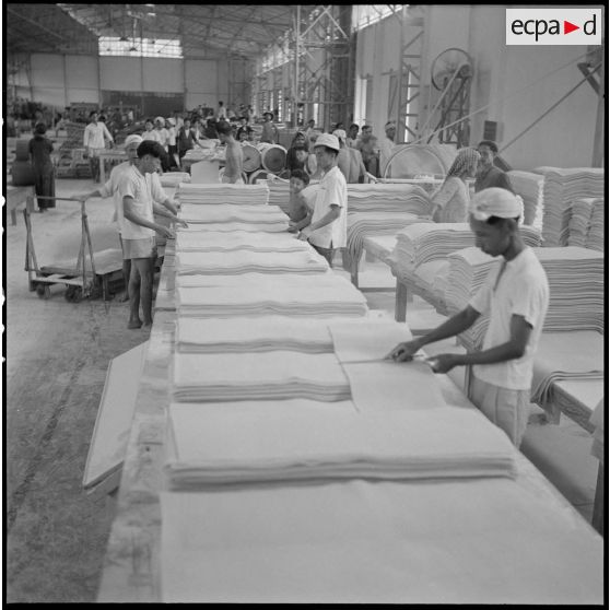 Classement des feuilles de crêpe semelle sur le site de transformation du latex, dans la région de Kompong Cham. [description provisoire]