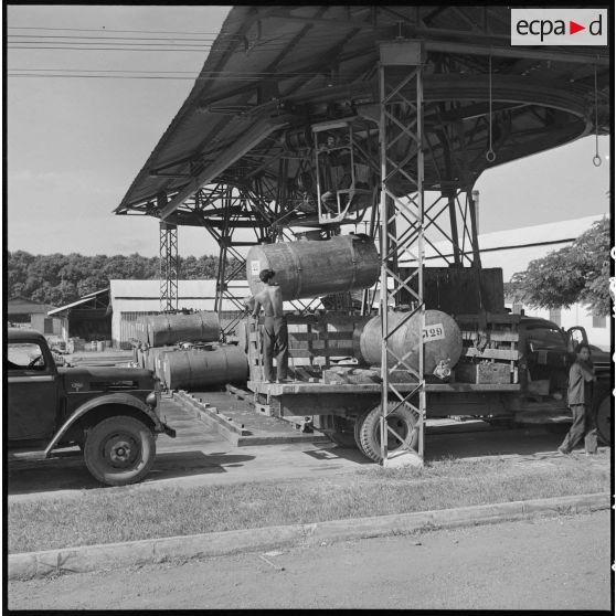 3 à 13 Saignée des hévéas et récolte du latex. [description provisoire]