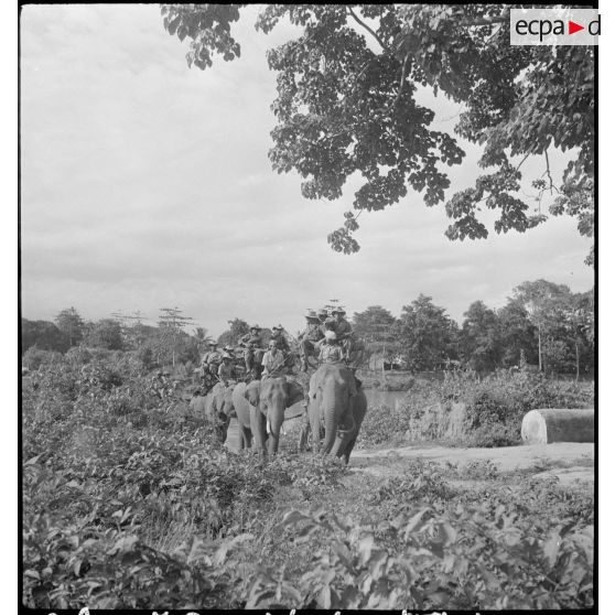 1 à 11 La section d'éléphants et le peloton monté du 3e BCC en patrouille. [description provisoire]