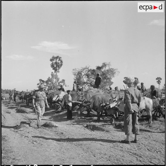 10 Plan d'ensemble sur le général Girot de Langlade passant en revue les charrettes à buffles. [description provisoire]