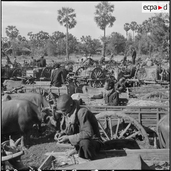 13 Plan d'ensemble du campement des charrettes. [description provisoire]