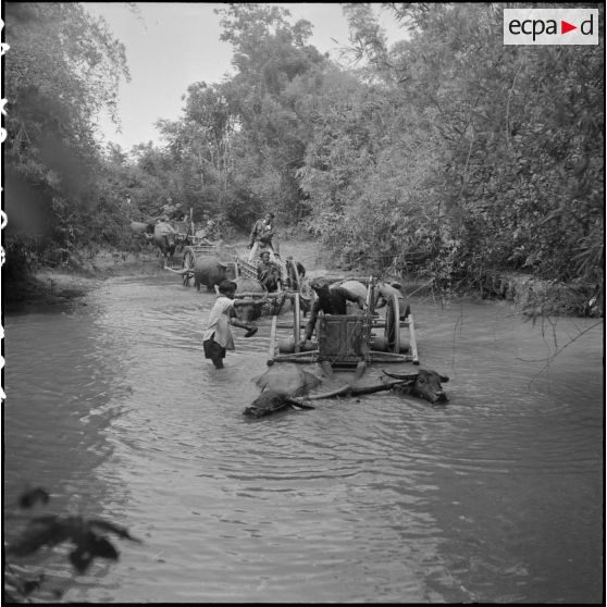 23 Les charrettes tirées par des buffles et conduites par des guides, franchissent un stung (petit cours d'eau). [description provisoire]