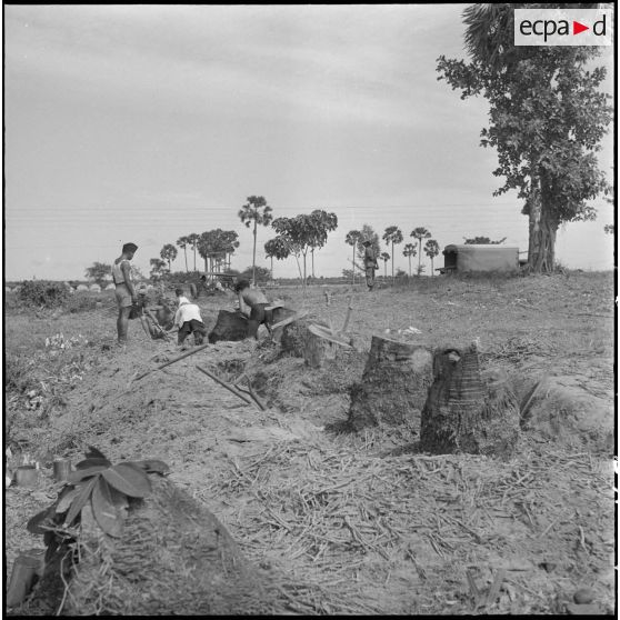 Travaux de dessouchage aux abords de l'aérodrome de Pochetong lors de la construction du cantonnement du BSPP (Bataillon de Sécurité de Phnom Penh). [description provisoire]