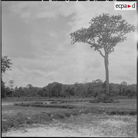 1 Le 2/6e RIC (2e bataillon du 6e Régiment d'Infanterie Coloniale) gagne l'orée de la forêt à travers les rizières. [description provisoire]