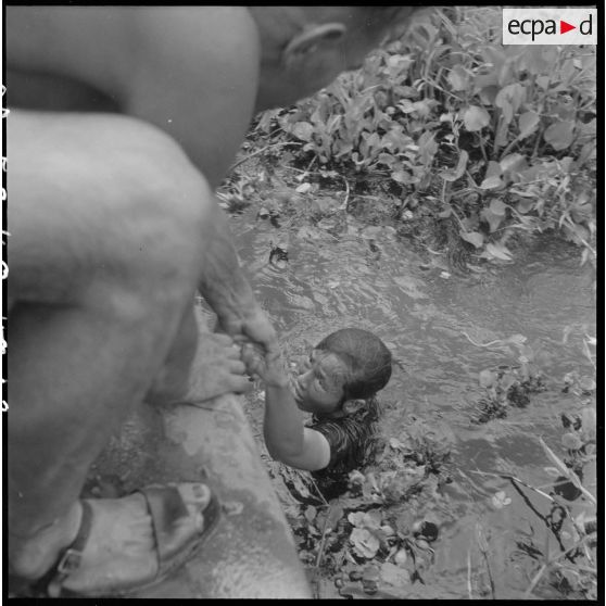 Opération sur le Song Bé avec le RMC (Régiment Mixte du Cambodge) : un soldat viêt-minh qui était caché dans la végétation du marécage est hissé à bord de la vedette du RMC. [description provisoire]