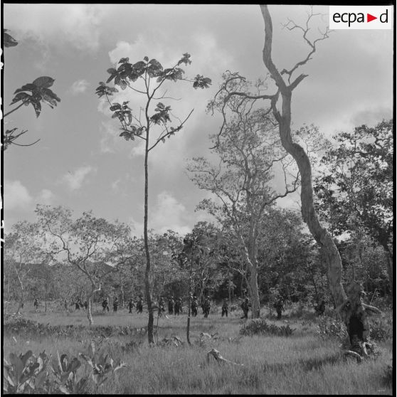 34 La colonne de soldats, sur le chemin de retour à travers la campagne arborée. [description provisoire]