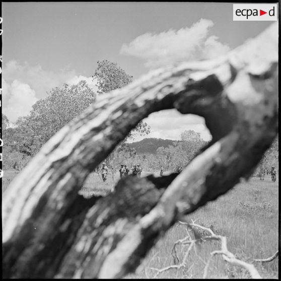 38 Effet photographique : progression des soldats à travers un tronc d'arbre vu en gros plan. [description provisoire]