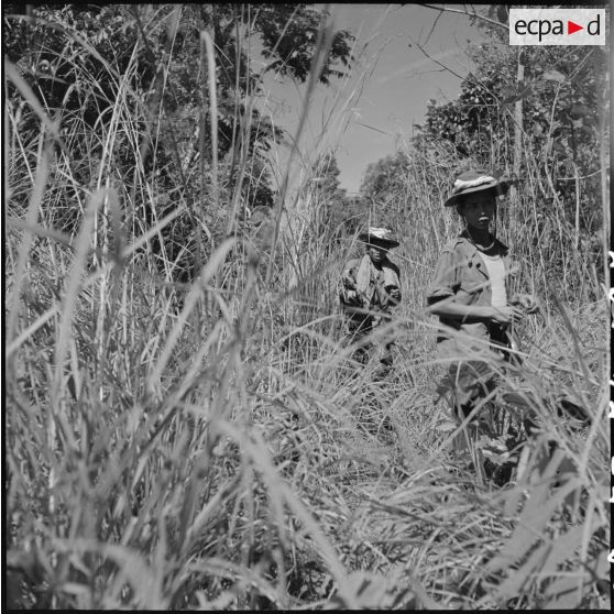 5 à 7 Progression des militaires du commando dans la brousse. [description provisoire]