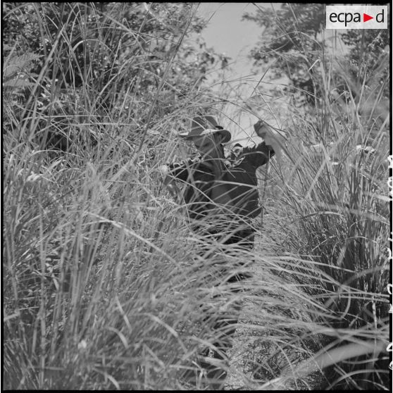 Progression des éléments du 1/RMC (1er bataillon du Régiment Mixte du Cambodge) dans le ""Tran"" (herbe à éléphant) lors d'une patrouille de reconnaissance. [description provisoire]