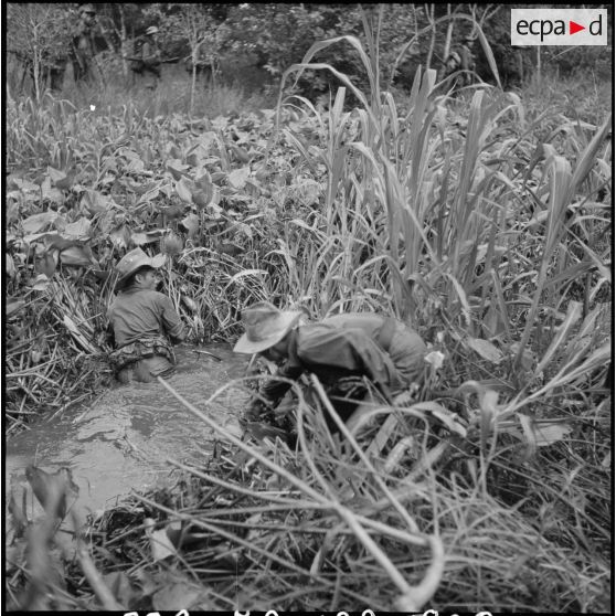 Des voltigeurs dégagent le canal 7 encombré de plantes (luc binh) lors de l'opération Tourbillon VII. [description provisoire]