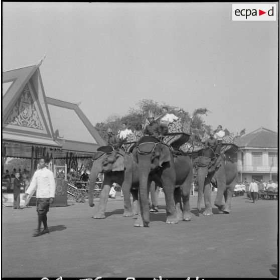 14 à 15 Défilé des éléphants devant la tribune officielle. [description provisoire]