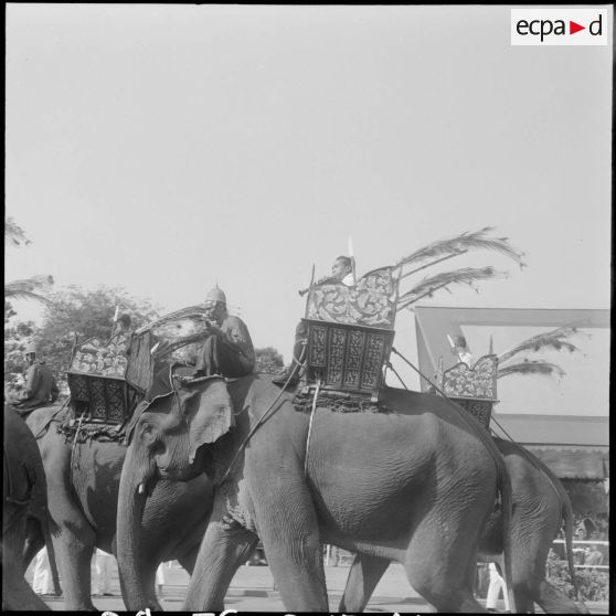 Couronnement du roi Suramarit et de la reine Kossamak du Cambodge à Phnom Penh : défilé d'éléphants devant la tribune officielle. [description provisoire]