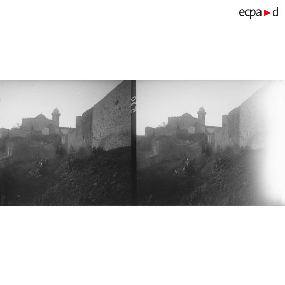 530. La mosquée, vue prise de loin. [légende d'origine]