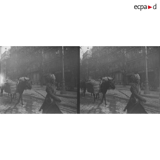 1480. Indien anglais. [légende d'origine]