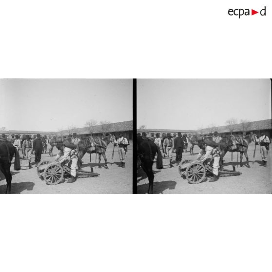 1301. Manoeuvre d'artillerie, pièce de 65 de montagne. [légende d'origine]