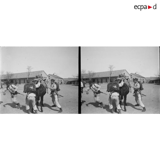 1302. Manoeuvre d'artillerie, pièce de 65 de montagne. [légende d'origine]