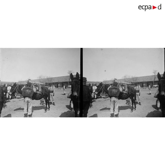 1303. Manoeuvre d'artillerie, pièce de 65 de montagne. [légende d'origine]