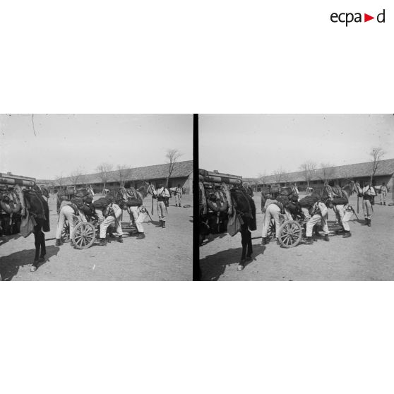 1306. Manoeuvre d'artillerie, pièce de 65 de montagne. [légende d'origine]