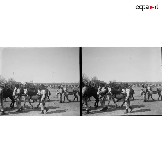 1309. Manoeuvre d'artillerie, pièce de 65 de montagne. [légende d'origine]