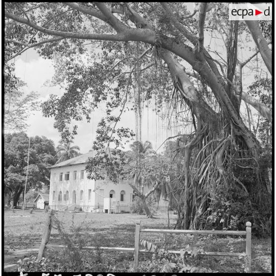 Bâtiment colonial sous un arbre banyan à Paksé.