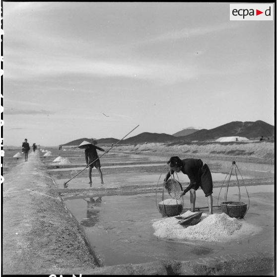 Travail des saulniers sous la protection de gardes dans les marais salants de Hon Khoi.