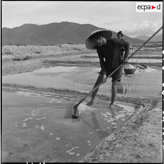 Travail des saulniers sous la protection de gardes dans les marais salants de Hon Khoi.