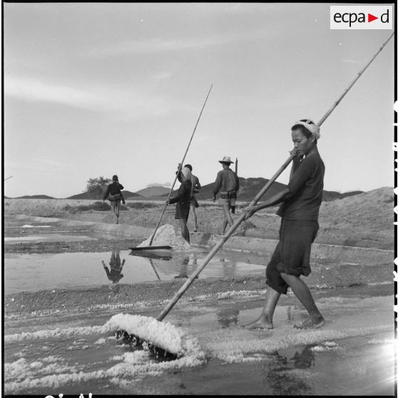 Travail des saulniers sous la protection de gardes dans les marais salants de Hon Khoi.