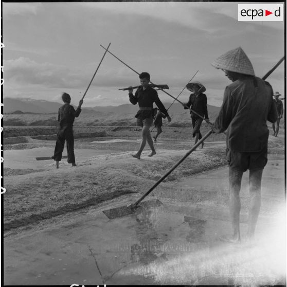 Travail des saulniers sous la protection de gardes dans les marais salants de Hon Khoi.