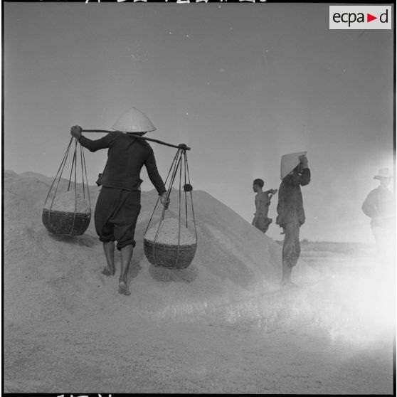 Transport du sel dans des palanches aux saline d'Hon Khoi.