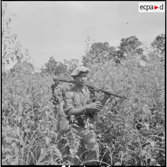 Des soldats du 2e bataillon de chasseurs laotiens (2e BCL) progressent dans de hautes herbes au cours de l'opération Pakha.