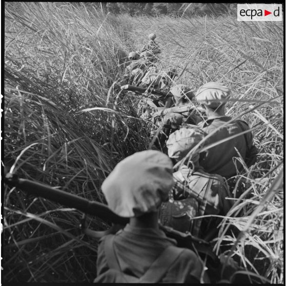 Progression difficile d'éléments du 2e bataillon de chasseurs laotiens à travers les hautes herbes au cours de l'opération Pakha.