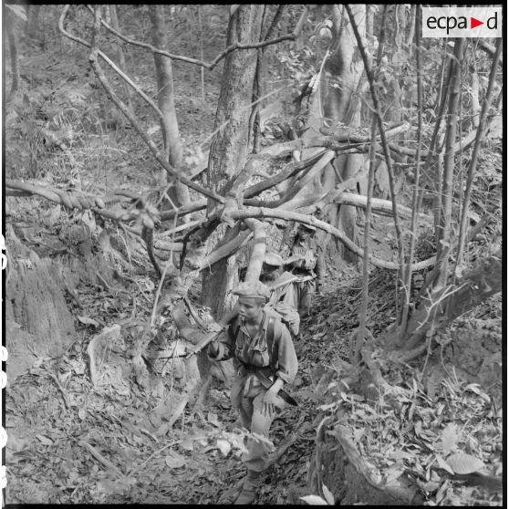 Des éléments du 2e bataillon de chasseurs laotiens (2e BCL) progressent en forêt au milieu de lianes épineuses.