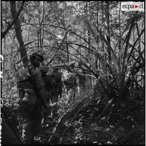 Des chasseurs de la 6e compagnie du 2e bataillon Lao progressent dans la forêt tropicale au cours de l'opération Pakha, dans la province d'Attapeu.