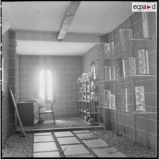 Collection de spécimens conservés en fluides et coraux de l'Institut océanographie de l'Indochine.